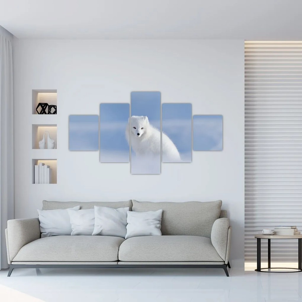 Obraz - Lis polarny (125x70 cm)