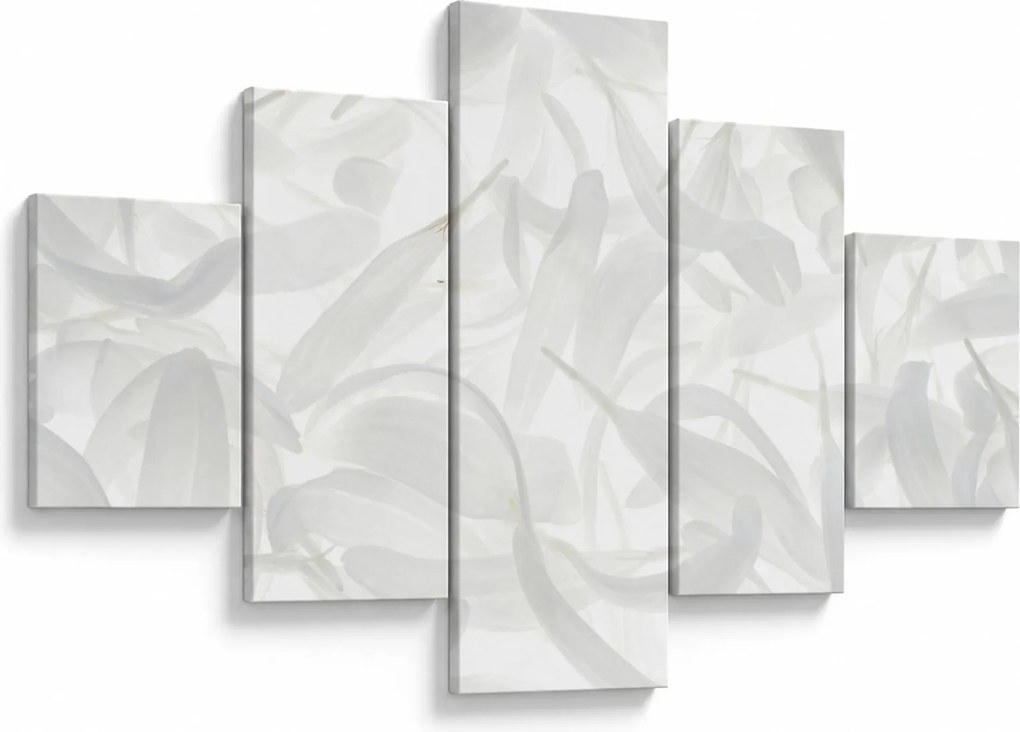 Obraz - Płatki (125x70 cm)