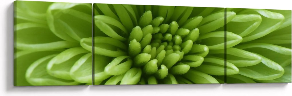 Obraz - Obraz rośliny w trybie makro (170x50 cm)