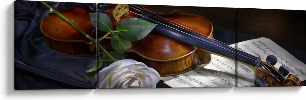 Obraz - Róże i skrzypce (170x50 cm)