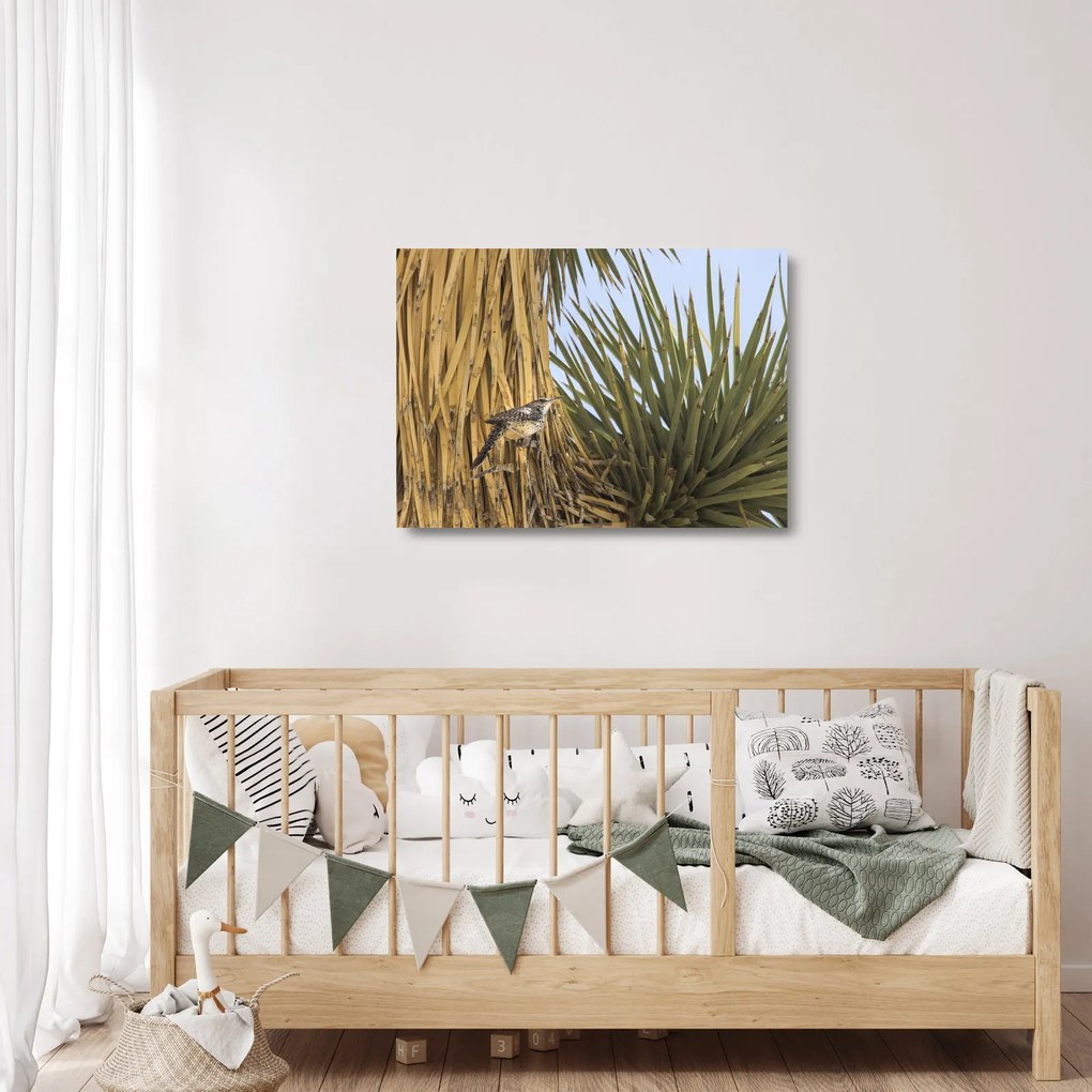 Obraz na szkle - Strzyżyk (70x50 cm)