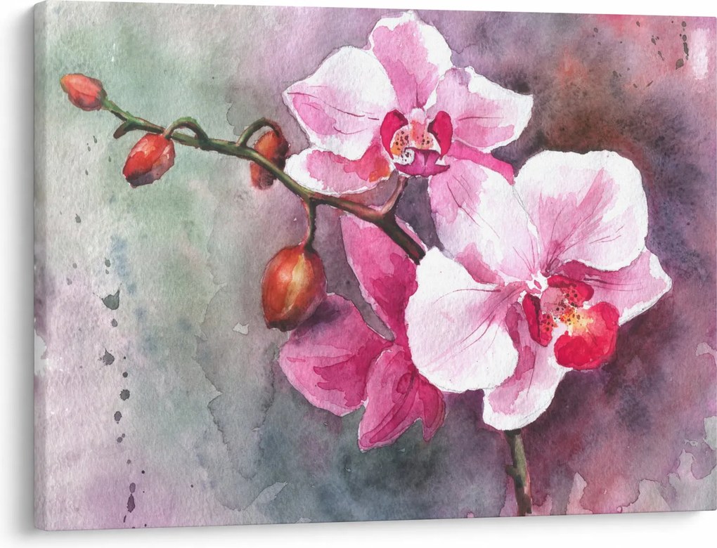 Obraz - Orchidee, akwarela (70x50 cm)