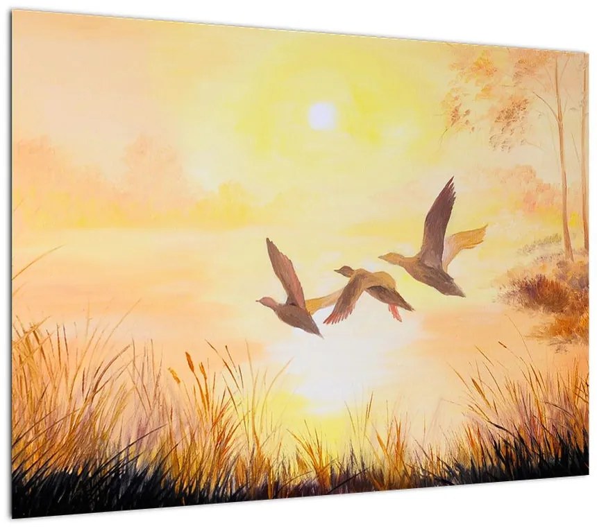 Obraz - Żurawie o zachodzie słońca (70x50 cm)