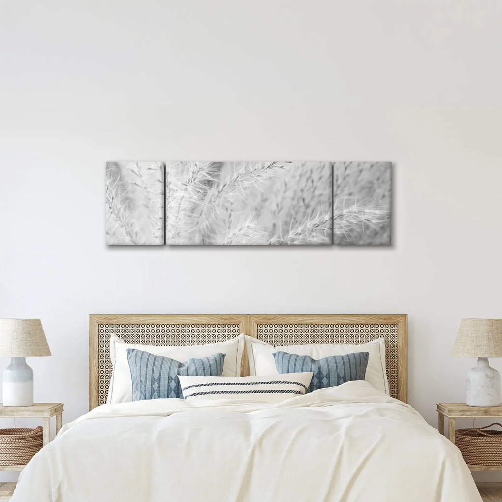 Obraz - Trawa pampasowa N⁰1 (170x50 cm)