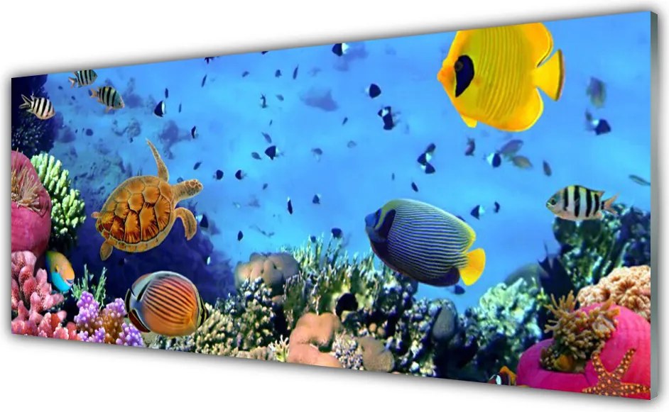 Panel nad blat kuchenny Podwodny Świat Rafy Koralowej