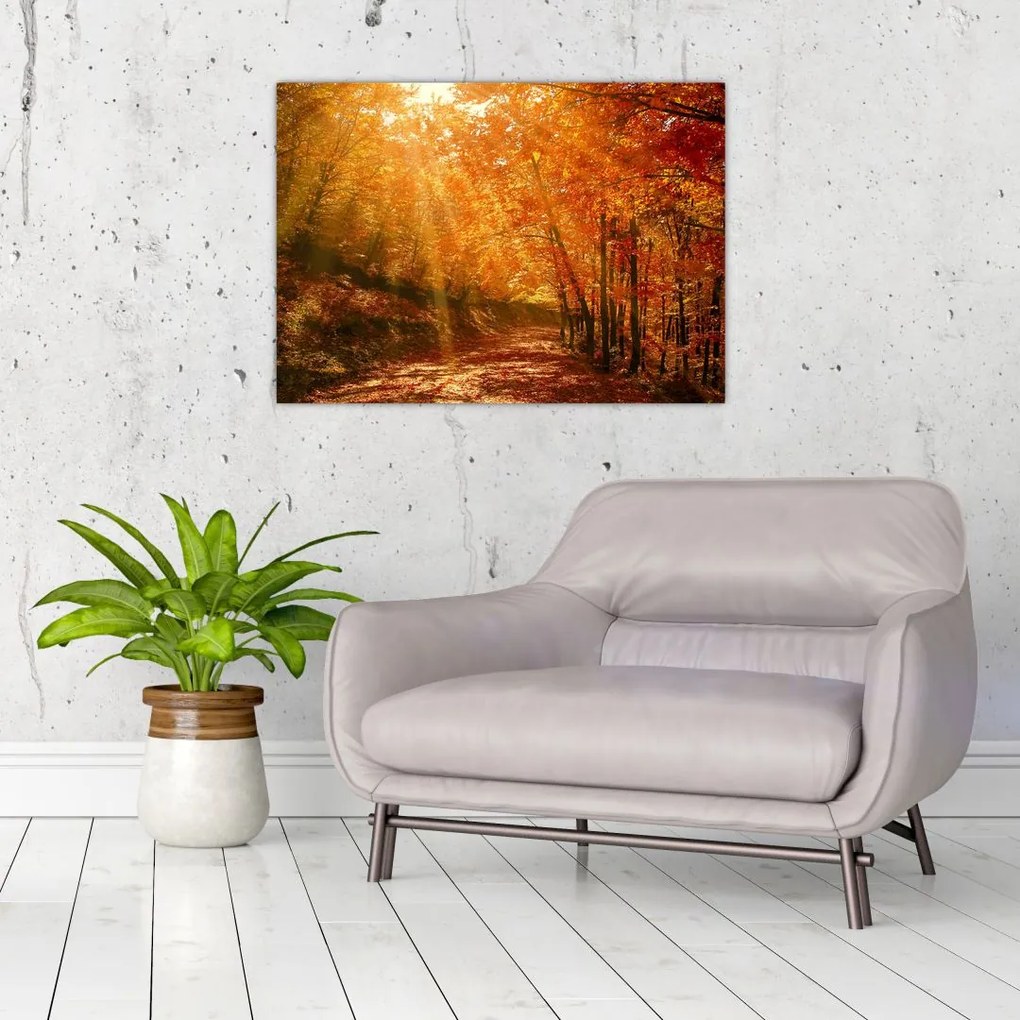 Obraz jesiennego lasu (70x50 cm)