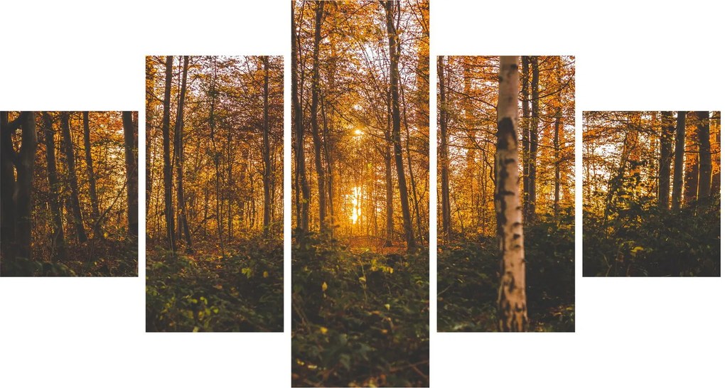 Obraz jesiennego lasu (125x70 cm)