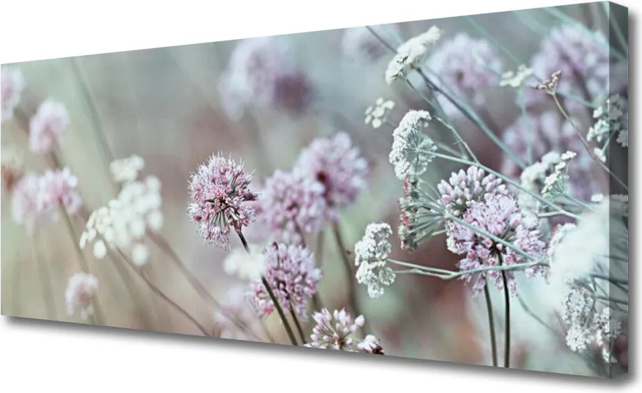 Obraz canvas Rozkwit Polnej Polany