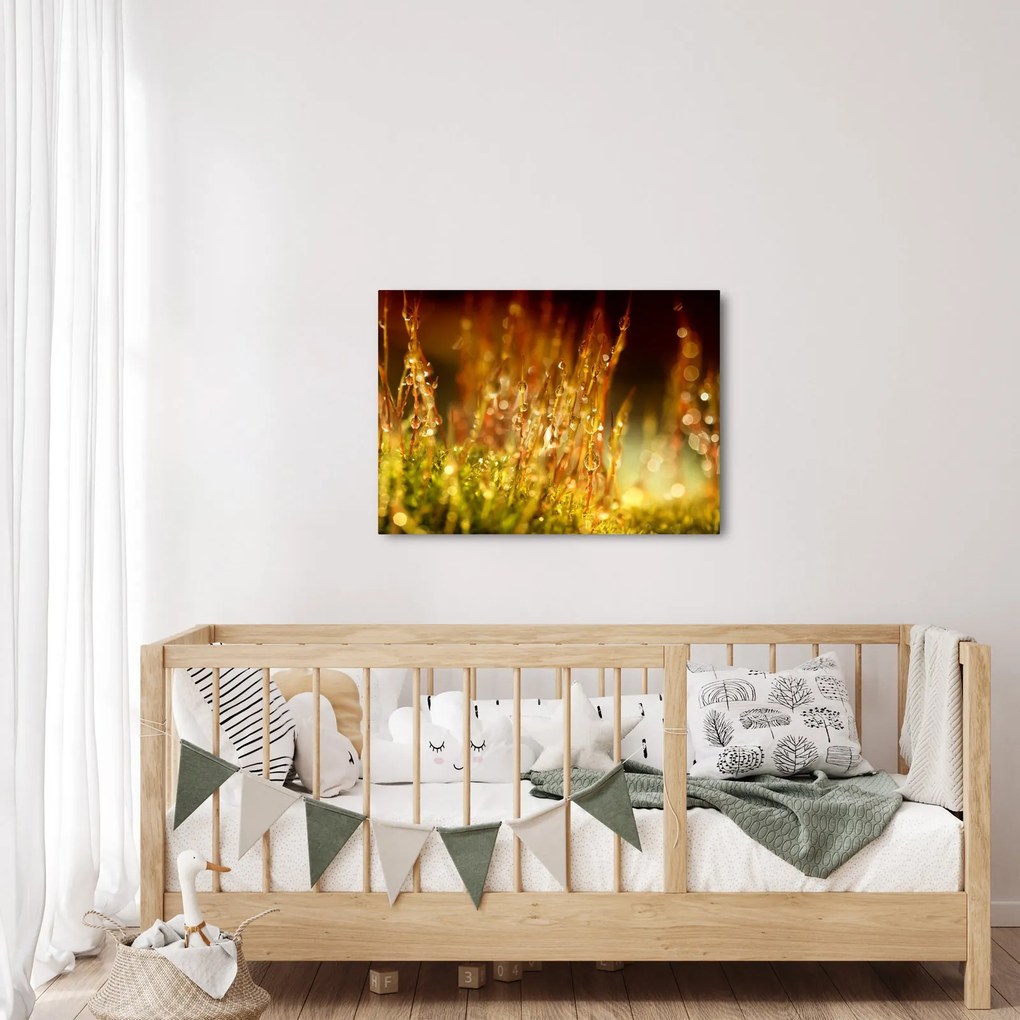 Obraz - Szczegół rosy (70x50 cm)