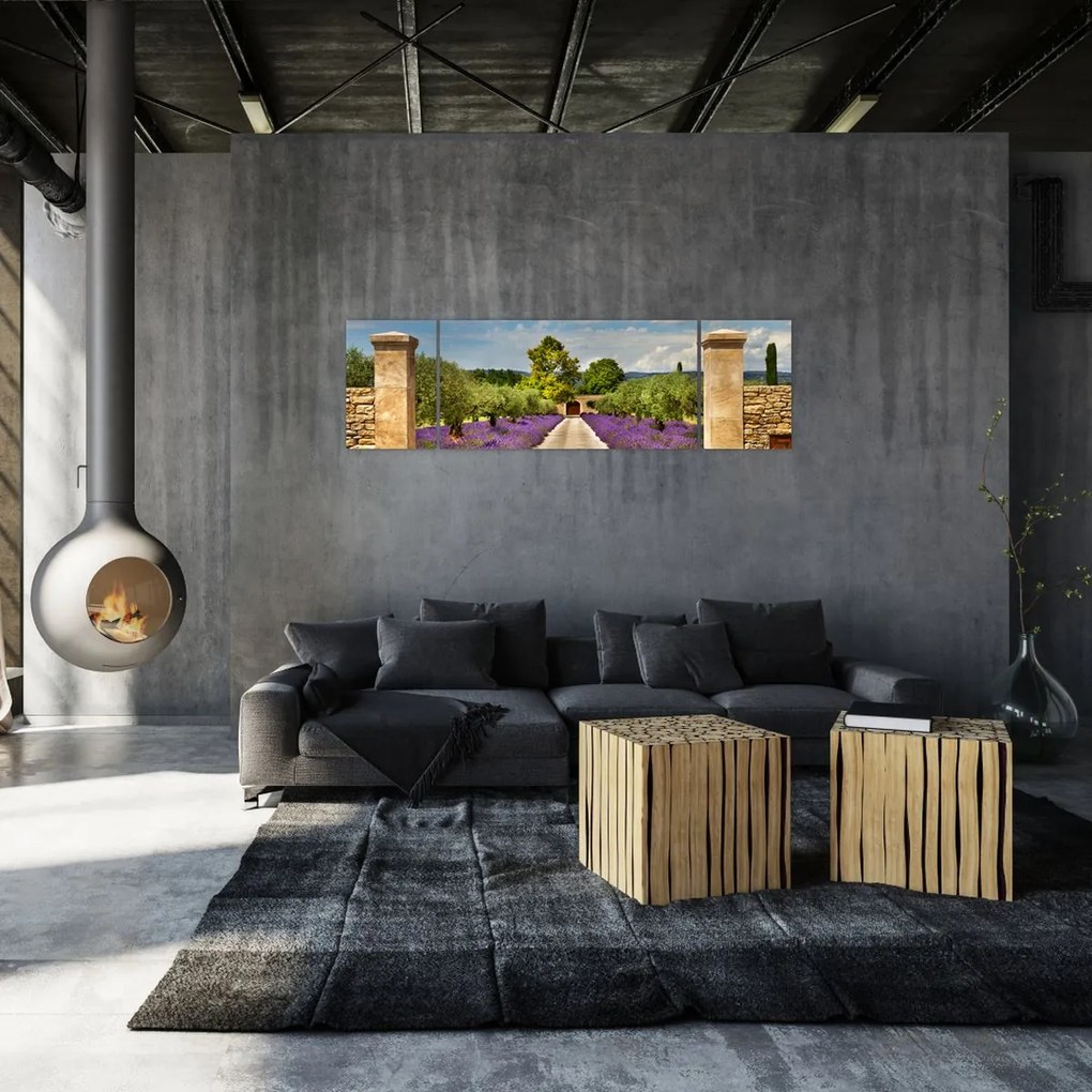 Obraz - Lawendowe ścieżki (170x50 cm)