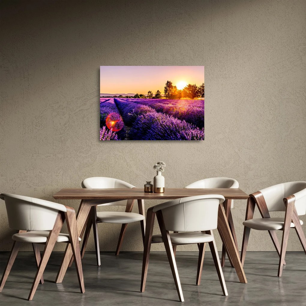 Obraz na szkle - lawendowe pole (70x50 cm)