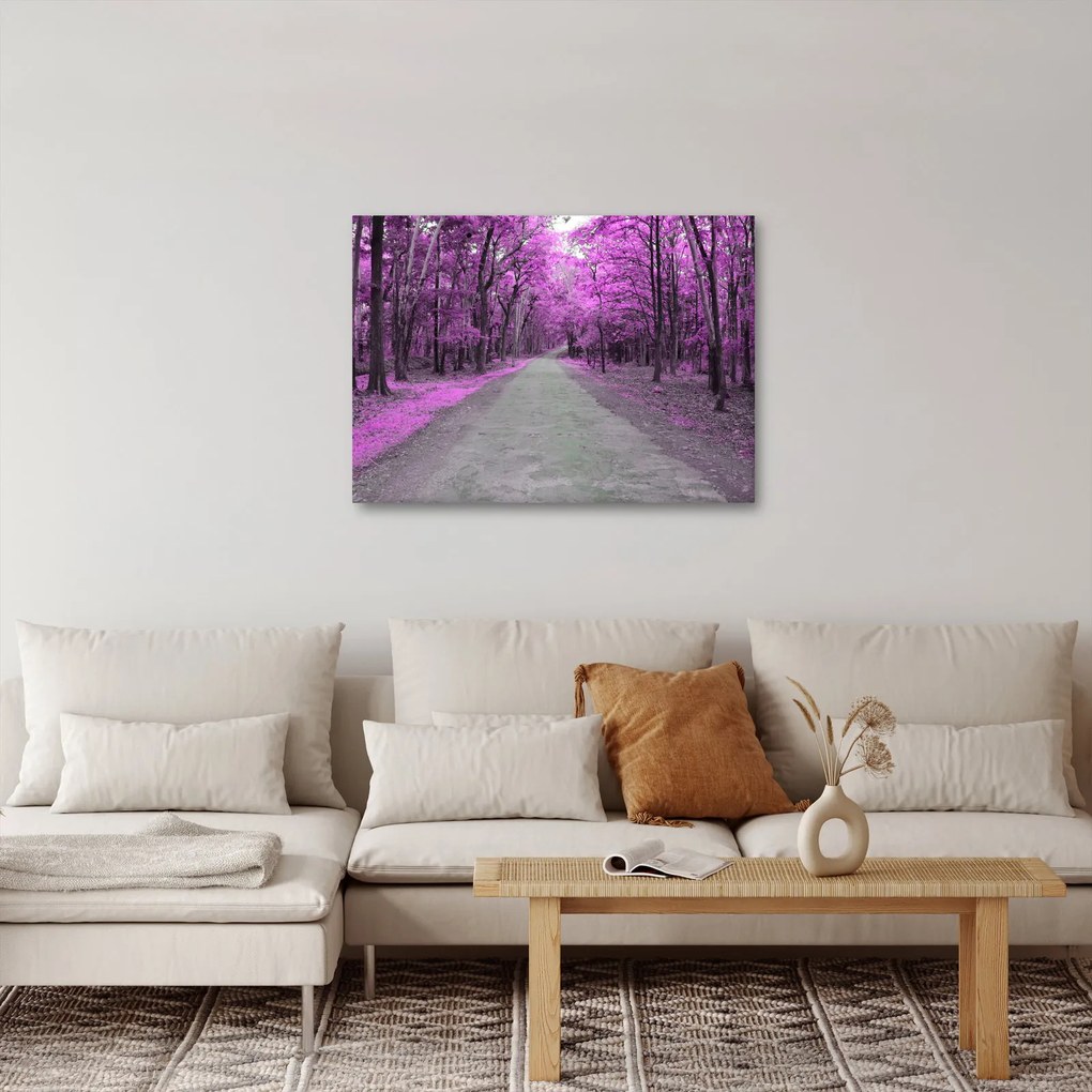 Obraz - Ścieżka przez park (70x50 cm)