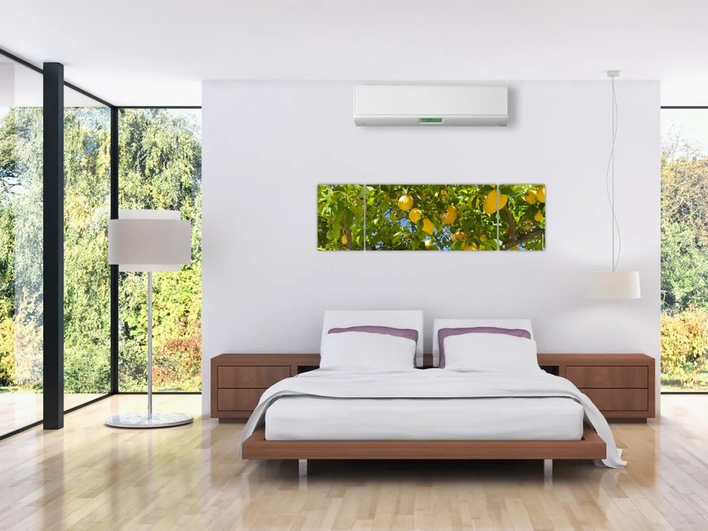 Obraz - Drzewo cytrynowe (170x50 cm)