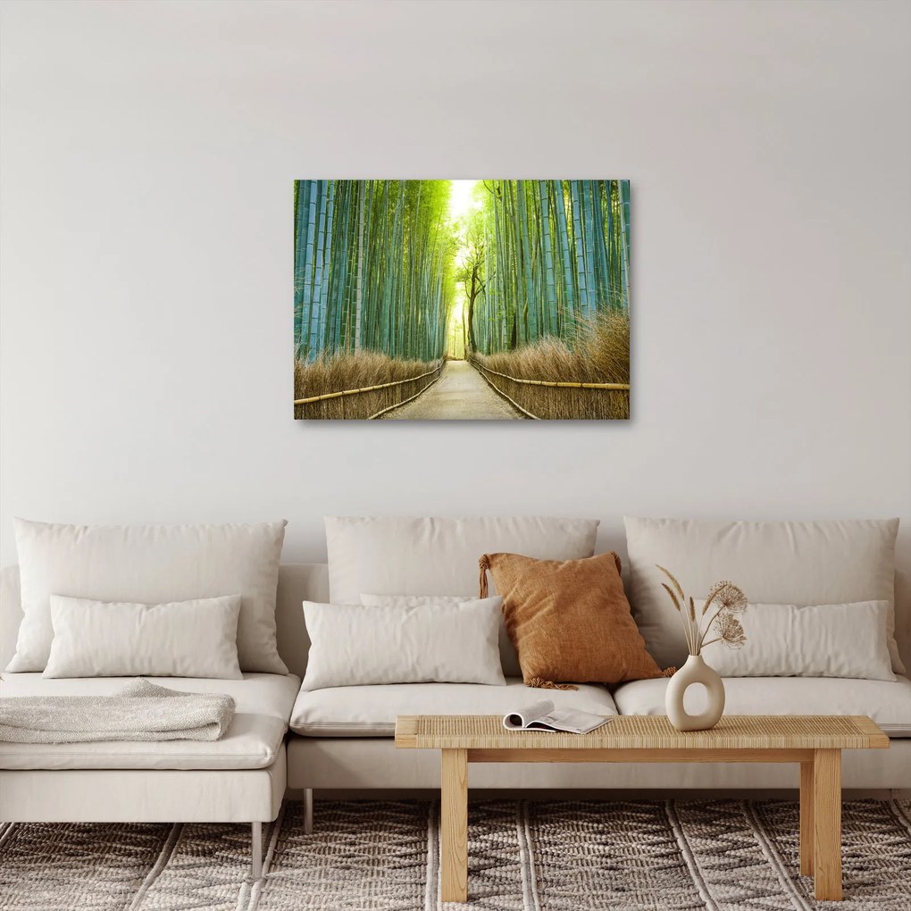 Obraz - Las bambusowy (70x50 cm)