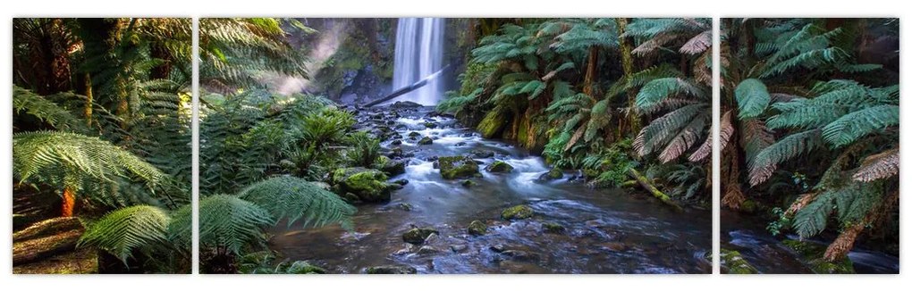 Obraz australijskiego lasu deszczowego (170x50 cm)