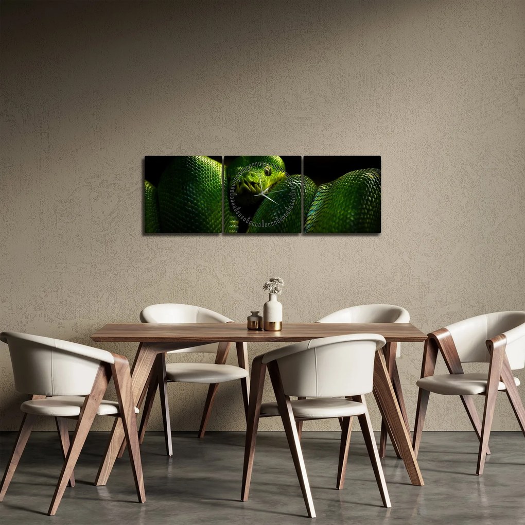Obraz - Zielony wąż (z zegarem) (90x30 cm)