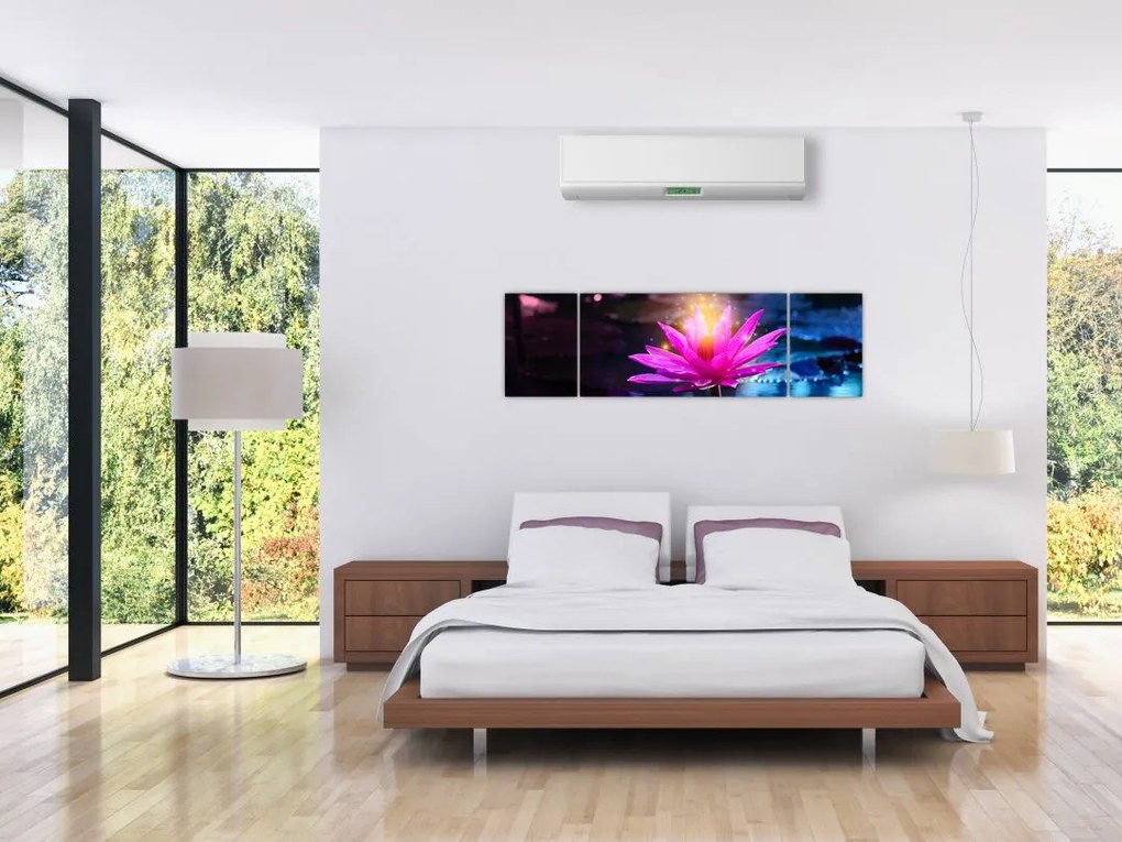Obraz lilii wodnej na wodzie (170x50 cm)