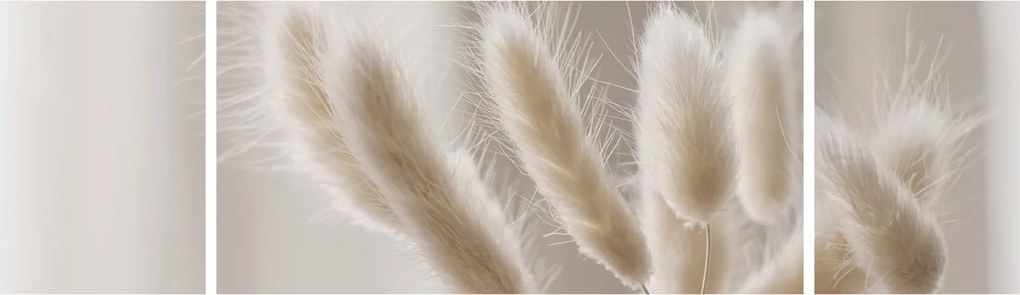 Obraz - Zajęcze ogonki (170x50 cm)