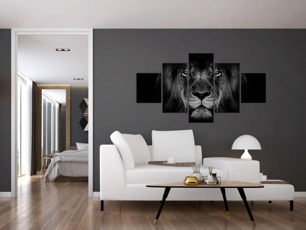 Obraz - lew i jego majestatyczność (125x70 cm)