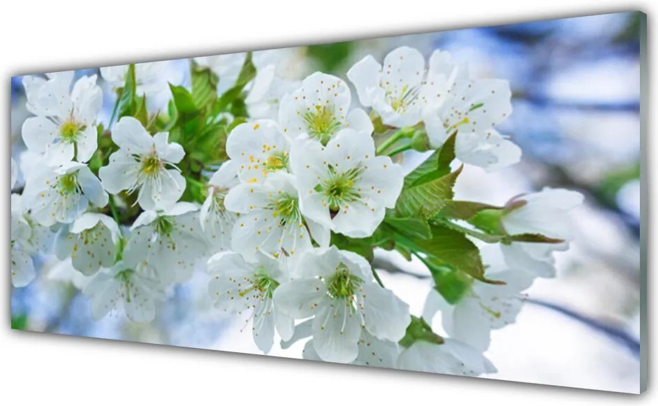 Panel Szklany Korony Drzew w Pełni Lata