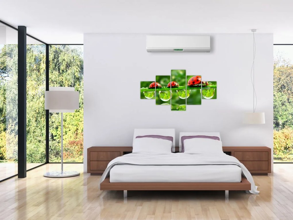 Obraz - Sunshine of the Seven Suns (125x70 cm)