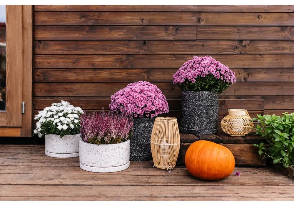 Ciemnoszara doniczka Bonami Selection Terrazzo, ø 34 cm