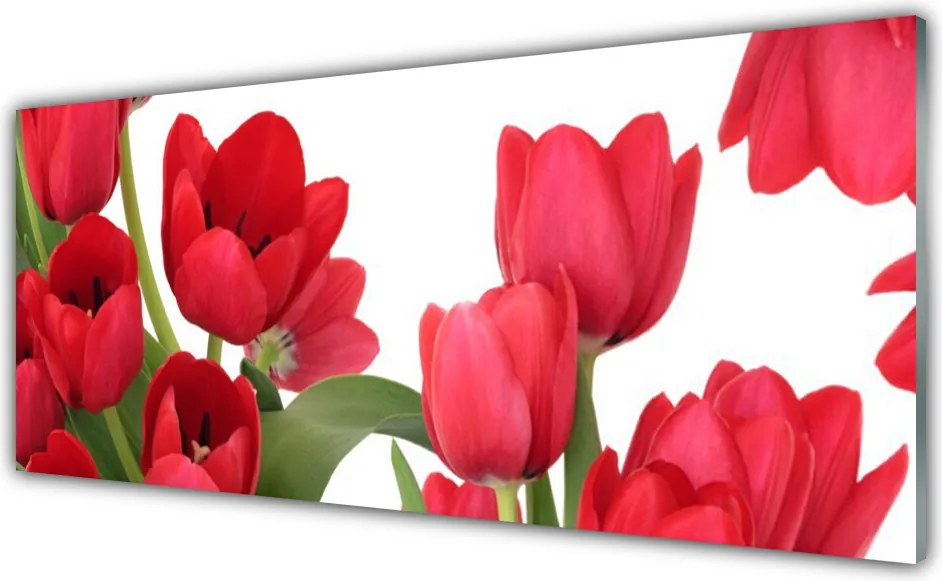 Szkło Ozdobne do Kuchni Świeże Tulipany w Rozkwicie