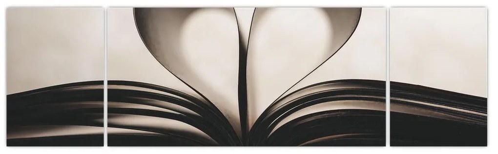 Obraz książki (170x50 cm)