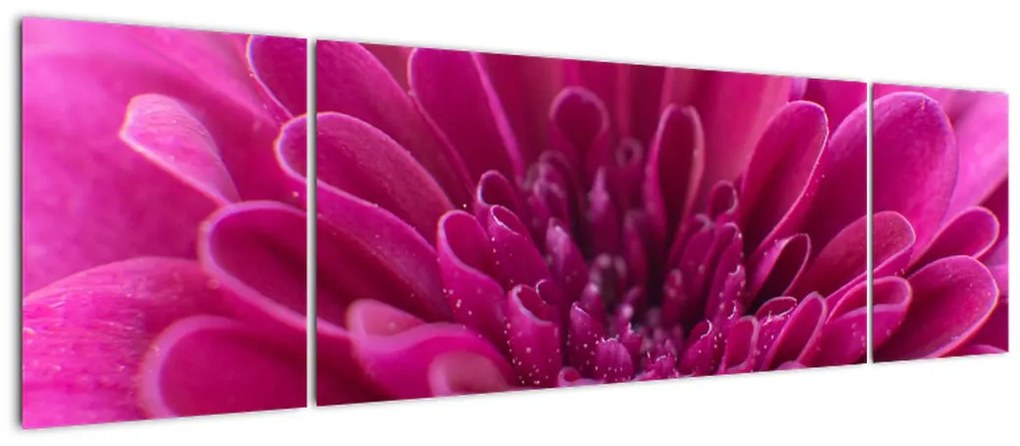 Obraz kwiatu (170x50 cm)