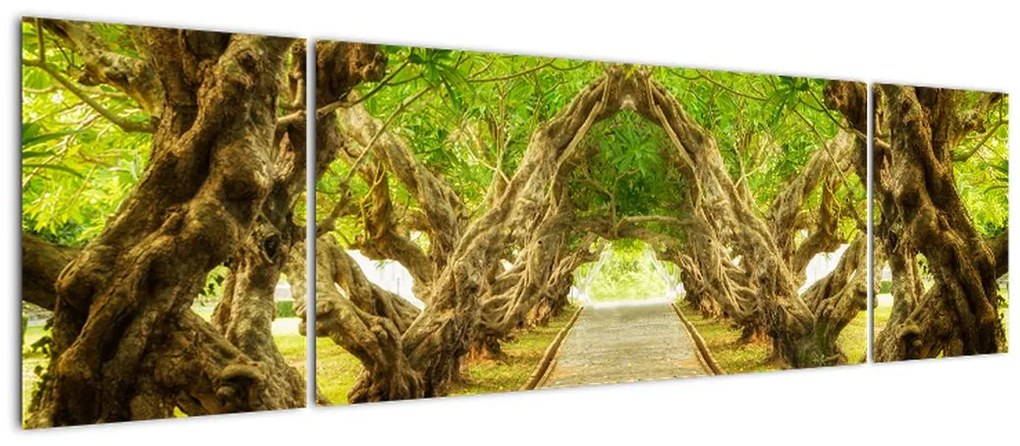 Obraz - Żywy tunel plumerii (170x50 cm)