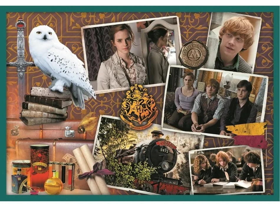 Trefl Puzzle Harry Potter, 10w1