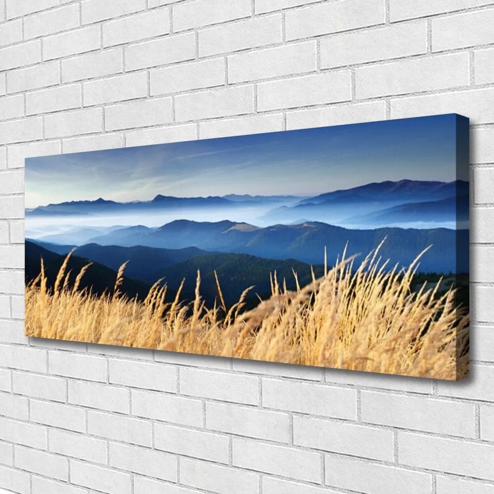 Obraz na płótnie Złociste Łany Zboża