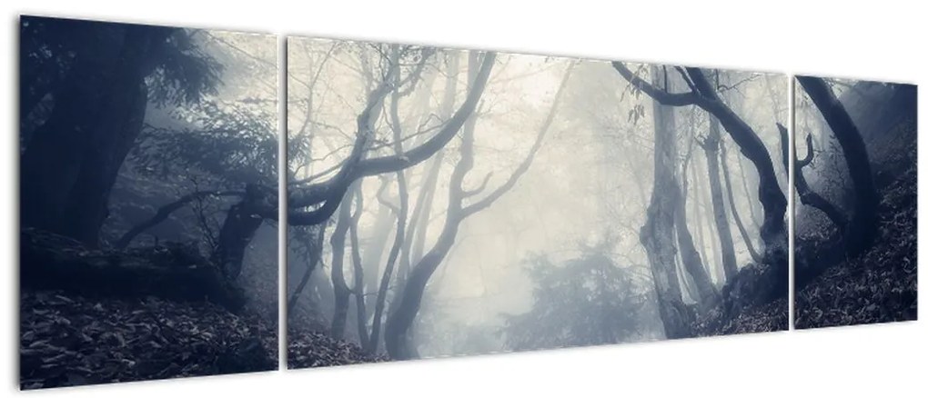 Obraz- Las we mgle (170x50 cm)