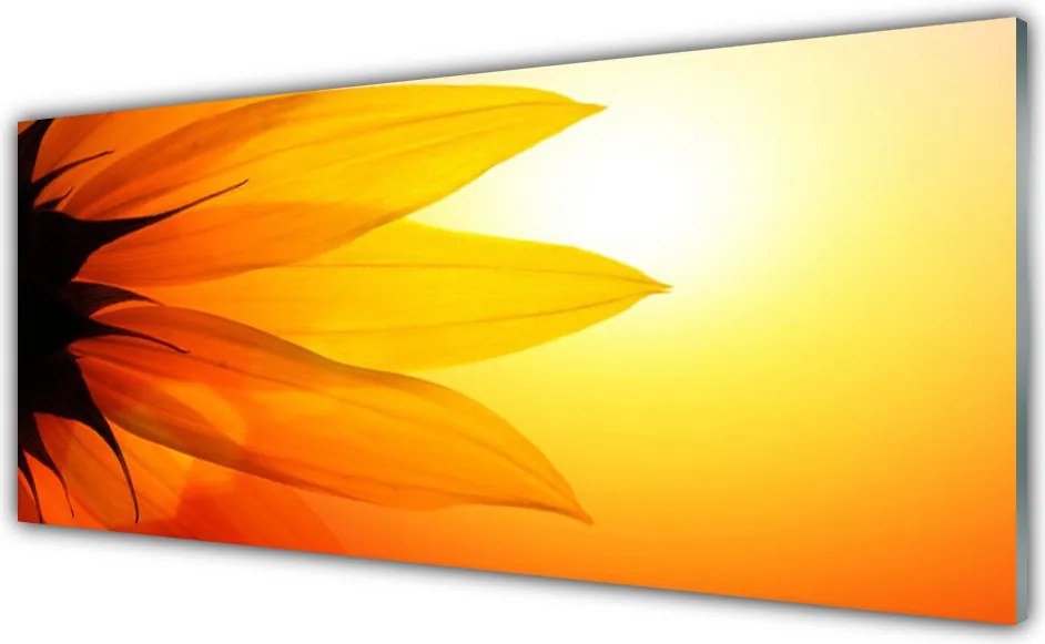 Szkło do Kuchni na Ścianę Piękno Natury: Kwiat