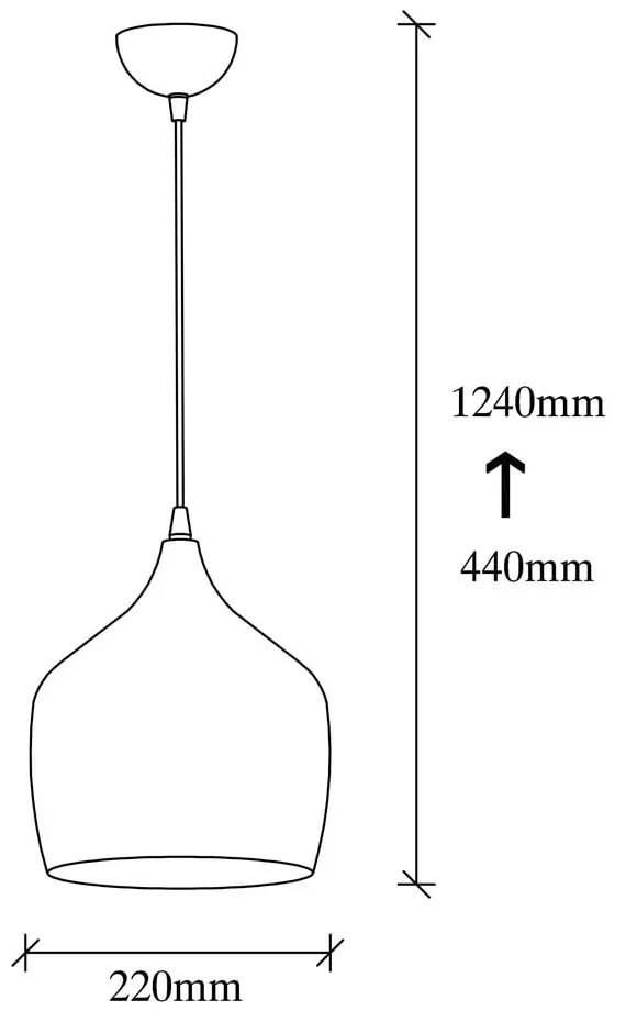 Czarna lampa wisząca z metalowym kloszem ø 22 cm Dodo – Opviq lights