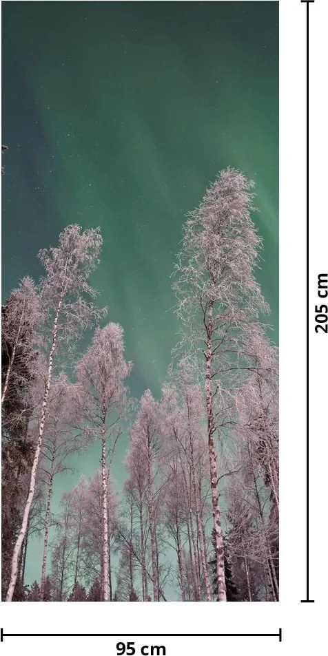 Fototapeta na drzwi - Zorza polarna nad zamarzniętymi drzewami (95x205cm)