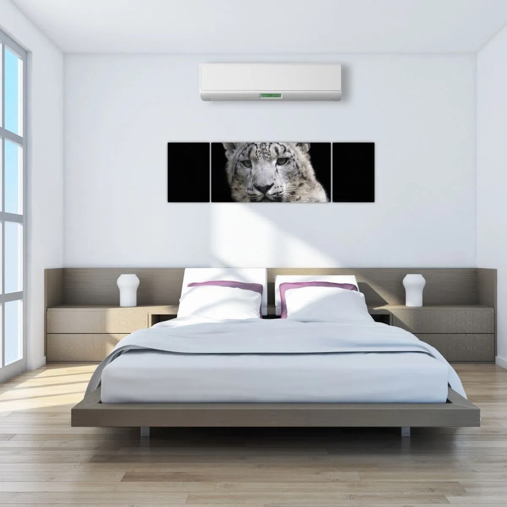 Obraz - Snow Leopard (170x50 cm)