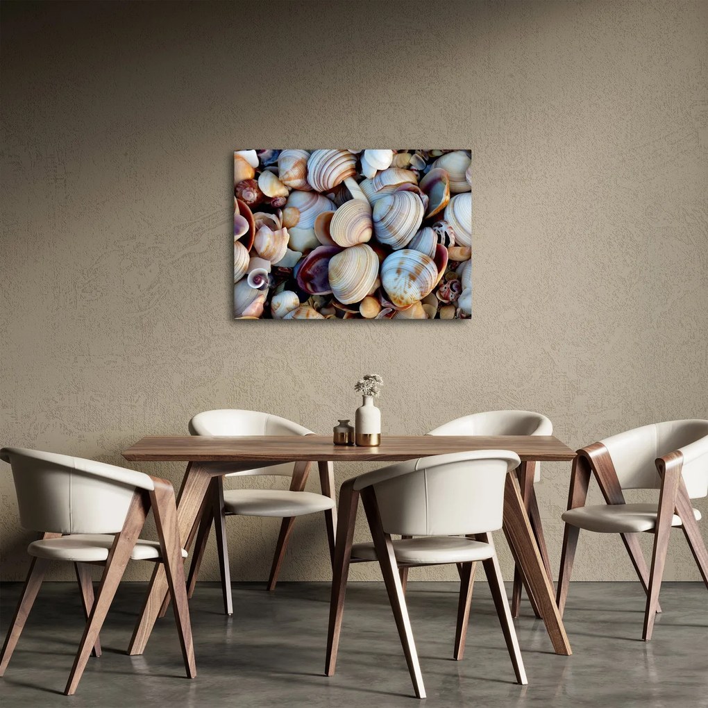 Obraz muszelek (70x50 cm)