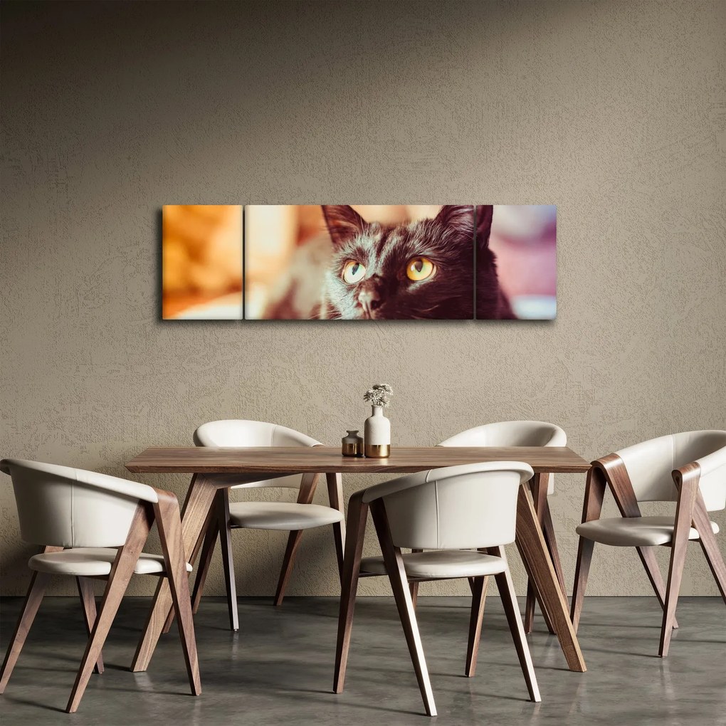 Obraz czarnego kota (170x50 cm)