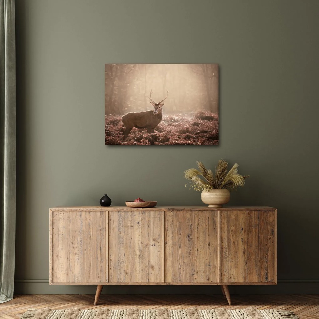 Obraz - Jeleń w lesie (70x50 cm)