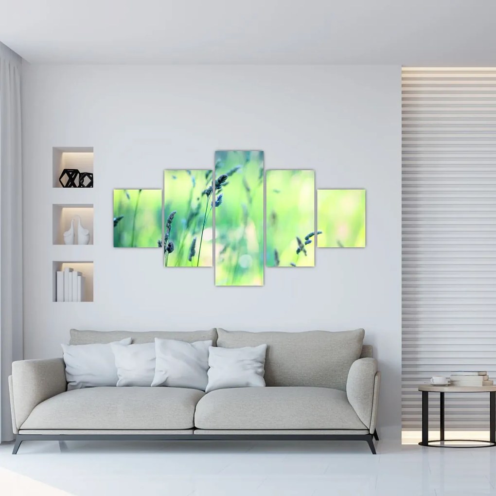 Obraz - Szczegół łąki (125x70 cm)