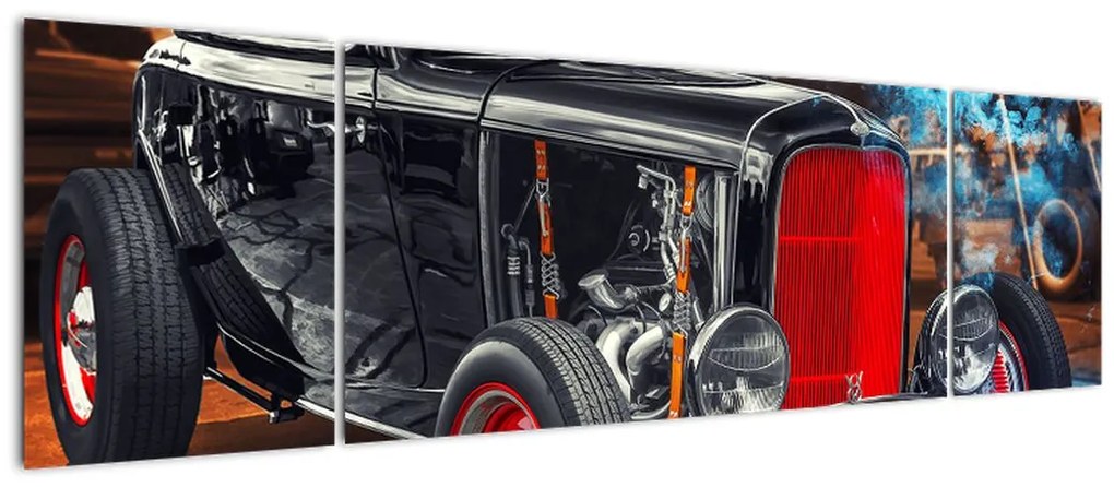 Obraz weterana (170x50 cm)