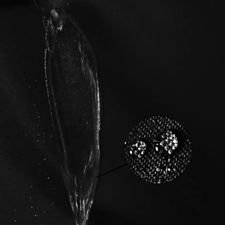 Namiot ogrodowy 3 x 6 INSTENT - system nożycowy  - kolor czarny