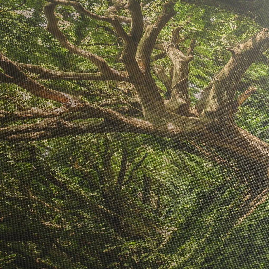 Obraz drzewa (125x70 cm)