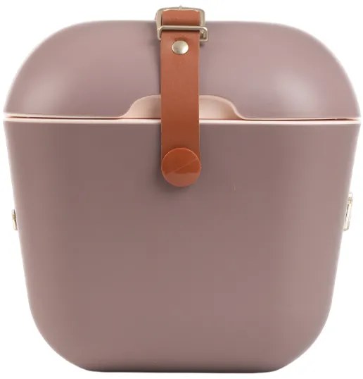 Polarbox Pojemnik chłodzący Classic Gold 12 l, brązowy, 12 l