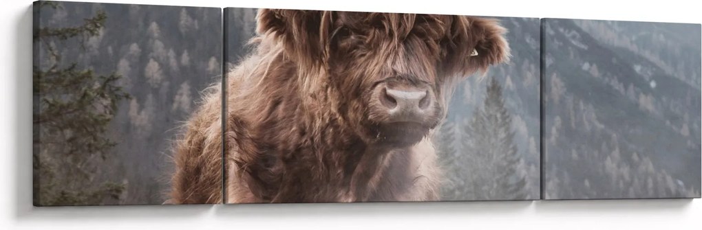 Obraz - Krowa góralska (170x50 cm)