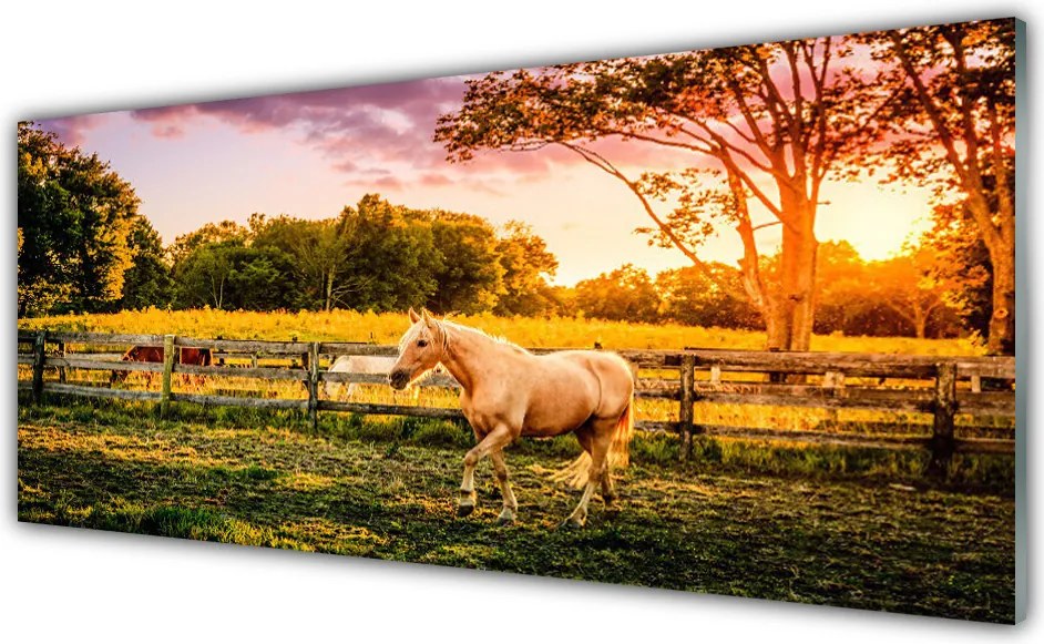 Szkło do Kuchni na Ścianę Dzikie Konie Na Pastwisku