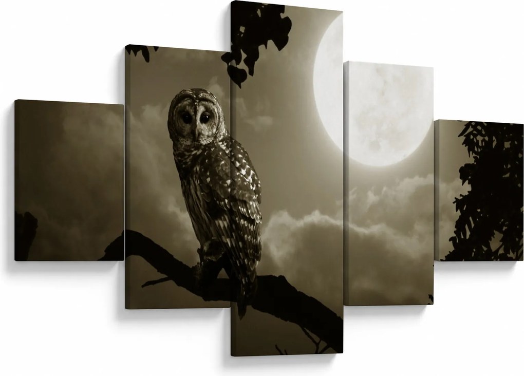 Obraz - Nocna sowa, złoty (125x70 cm)