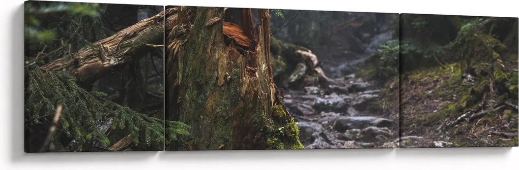 Obraz - W lesie (170x50 cm)