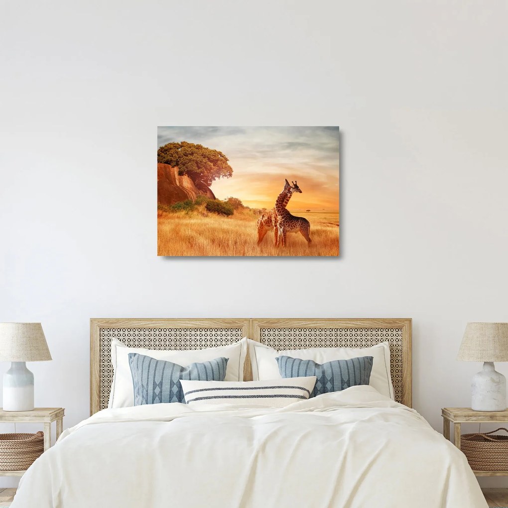 Obraz na szkle - Żyrafy w Afryce (70x50 cm)